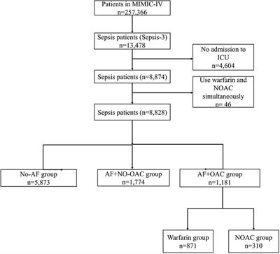 Oral anticoagulants increased 30-day survival in sepsis patients complicated with atrial fibrillation: a retrospective analysis from MIMIC-IV database